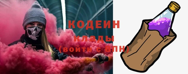 дживик Богородицк