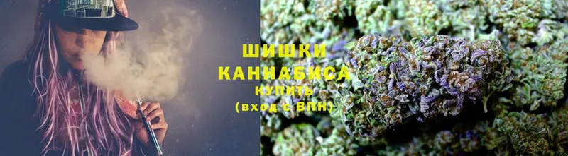 Бошки марихуана Amnesia  Уяр 